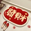【好运连连❗️仿羊绒地垫】一踩即干，地板一点不脏，水晶绒材质，不易掉毛，不易移动，不伤地板，吸水耐脏脚垫异形卧室客厅地毯入户门脚垫QQ 商品缩略图4
