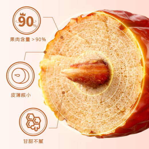 富昌灰枣500g 商品图4