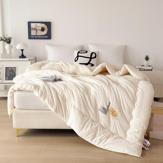 【大豆贴贴被】【特价】大豆纤维被芯提花秋冬被四季被保暖冬天被子 商品图5