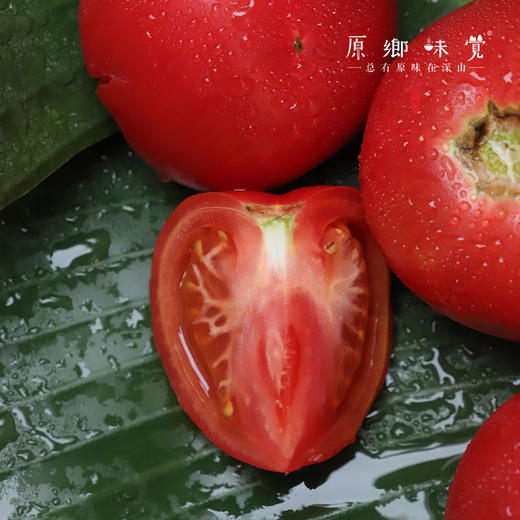 生态菜番茄/西红柿（基地直发-京东快递）|5斤/件，来自山西灵丘，生产者：平人农场【合作生产，公平贸易】 商品图4