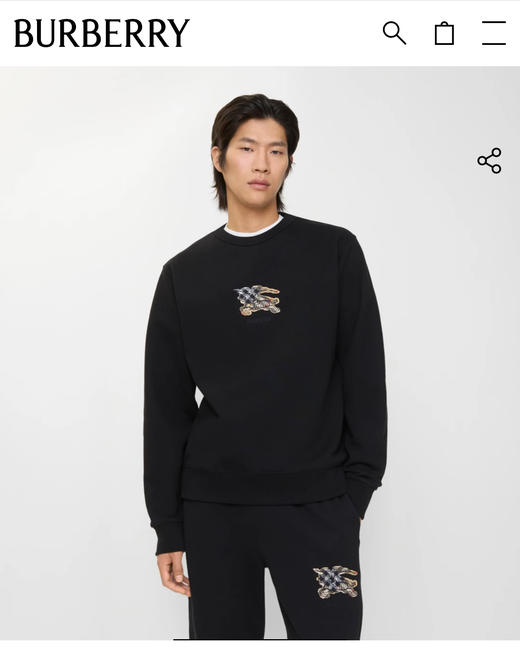 B.B 秋冬高密贴布刺绣加绒加厚卫衣套装 WY940  WK841 商品图1