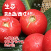 生态菜番茄/西红柿（基地直发-京东快递）|5斤/件，来自山西灵丘，生产者：平人农场【合作生产，公平贸易】 商品缩略图0