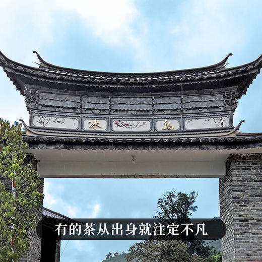 【即将售罄！！】【冰岛老寨团茶】2022年私藏头春古茶茶之品莫贵于龙凤临沧茶区冰岛老寨纯料500克/团 商品图1