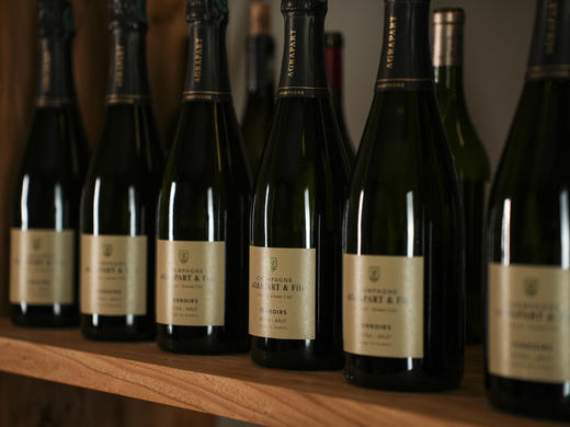 法国阿格帕特风土白中白特级园香槟NV 商品图5