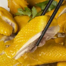 热卖中！！顺丰发货！送一袋100g蜜汁叉烧！【S姆同厂 供港品质】南鲜港湾古法秘制盐焗鸡 700g/袋