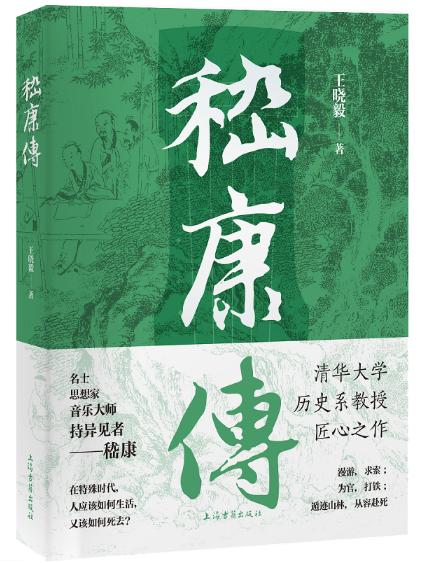 嵇康传 商品图0