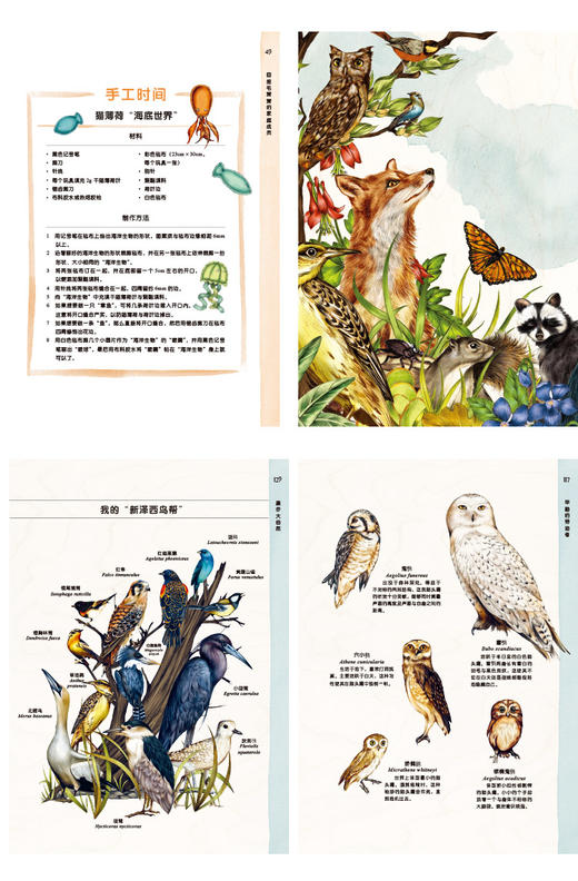 动物如友邻：生而为人的自我修养 商品图2