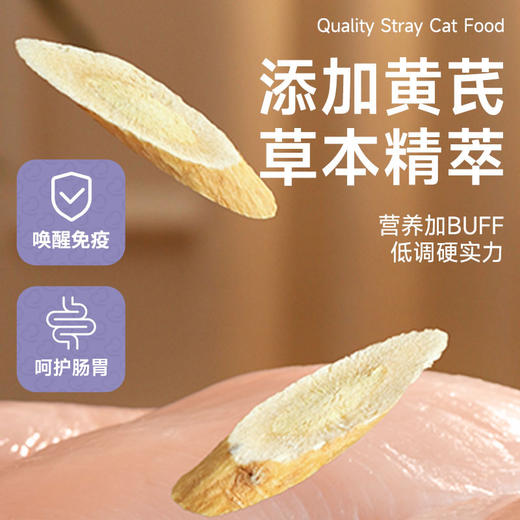 喵铮铮简爱流浪猫粮 流浪猫猫粮全价猫咪宠物幼猫主食营养肠胃主粮 34%蛋白复原肠胃添加黄芪鲜鸡肉【该商品不参与满赠】 商品图1