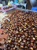 德昌鲜板栗3斤装 商品缩略图1