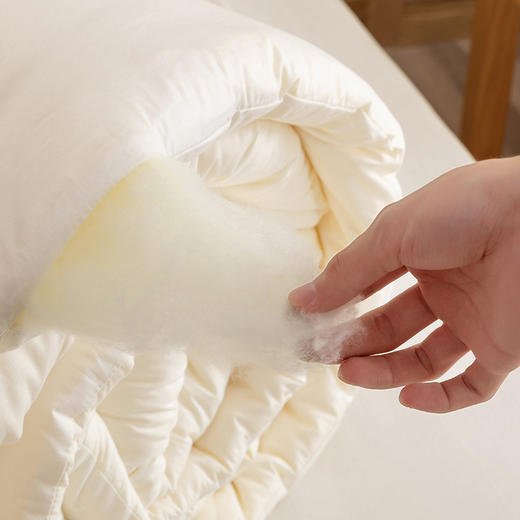 【A类有机原棉大豆被】纯棉原棉大豆纤维被芯提花被子A类民宿四季被秋冬被 商品图2