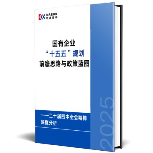 改革微报告 | 国有企业“十五五”规划前瞻思路与政策蓝图研究报告 ——二十届四中全会精神深度分析 商品图1
