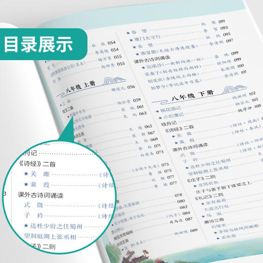 实验班 初中文言文专项 《初中必背古诗文》 《中考课外文言文、古诗阅读训练120篇》 商品图2
