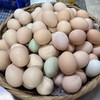 云阳土鸡蛋，农家土鸡蛋，一件50个，125元普通地区包邮 商品缩略图0