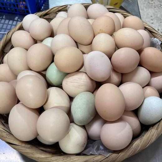云阳土鸡蛋，农家土鸡蛋，一件50个，125元普通地区包邮 商品图0