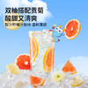 【任选专区】【6月+】贡菊双柚汁125ml*4盒 商品缩略图3