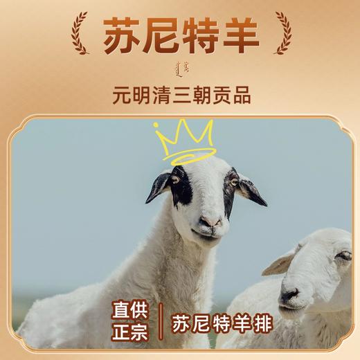 【顺丰发货】内蒙苏尼特羊肉卷 羊排 羊腿 草饲羊肉 火锅烧烤食材 贡品生羊肉 商品图1