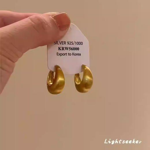 【YW】无忧购秋冬季耳环耳圈合集金属亮面气质高级感（截单后3-5天发货) 商品图2