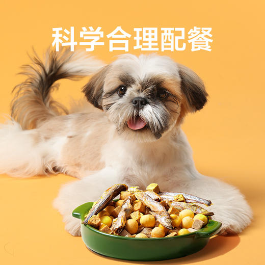 网易天成每日冻干礼盒 商品图4