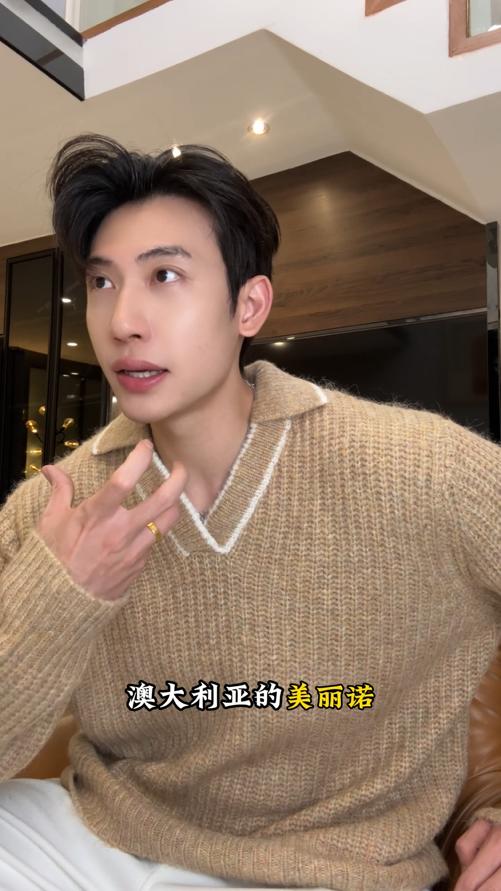 SDSA男士秋冬新款痞帅男装潮牌简约小V翻领毛衣慵懒套头风针织衫 商品图0