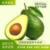优选|孟连哈斯牛油果  香气浓郁 无黑丝 口感绵密  冰淇淋口感 树上自然熟 发顺丰 4/6/8枚 商品缩略图1