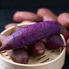 豆逸谷泰紫薯1号软糯香甜溏心蜜薯新鲜现挖不噎人4.5斤/箱 商品缩略图2