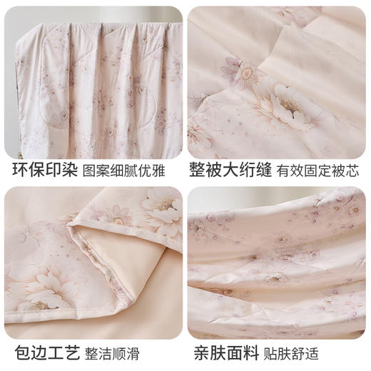 恒源祥（HYX）HYX1115DJ 苏屿莲花（雅）A类抗菌柔软夏凉被 商品图4