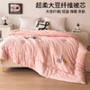 【大豆贴贴被】【特价】大豆纤维被芯提花秋冬被四季被保暖冬天被子 商品缩略图3