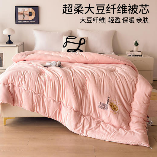 【大豆贴贴被】【特价】大豆纤维被芯提花秋冬被四季被保暖冬天被子 商品图3