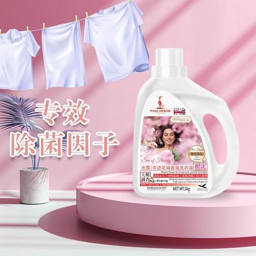 【79.9元任选4件】池露除菌净螨4效合1 大容量浓缩香氛洗衣液 2kg/壶 商品图6