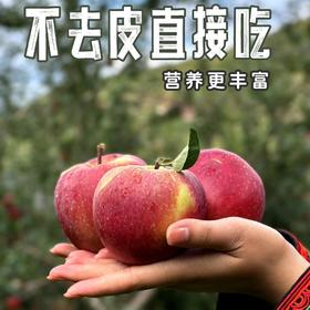 【产地溯源】大凉山盐源丑苹果 果香浓郁 口感丰富