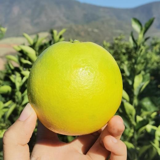 云南锦红冰糖橙 一口爆汁甜过蜜 云南产地直供 锦红冰糖橙   酸甜刚刚好 商品图2