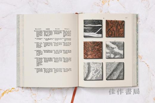 Jan Christiaan Sepp. The Book of Marble / 扬·克里斯蒂安·塞普. 大理石之书 / Taschen 出版 商品图4
