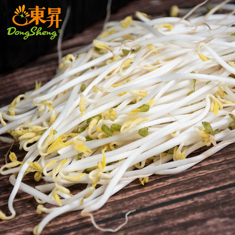 东升农场 有机绿豆芽 250g