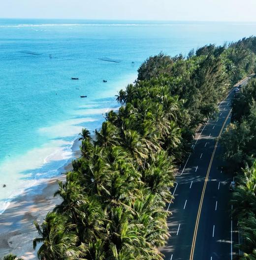 WeCycle|Hello100海南骑游，纵享海岛速度与风情~ 商品图3