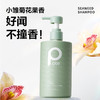 【分仓直发包邮】柏缇海藻去屑止痒洗发露505ml 商品缩略图0