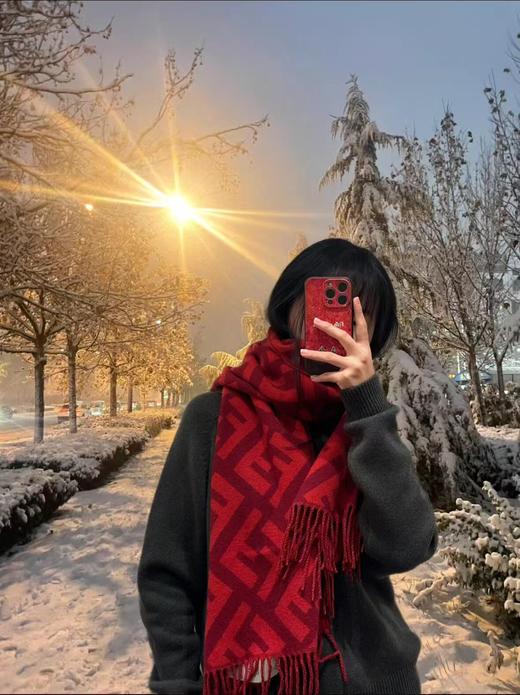 芬迪 字母老花围，全世界都在抢的老花FF字母款（ZT*DSX） 商品图11