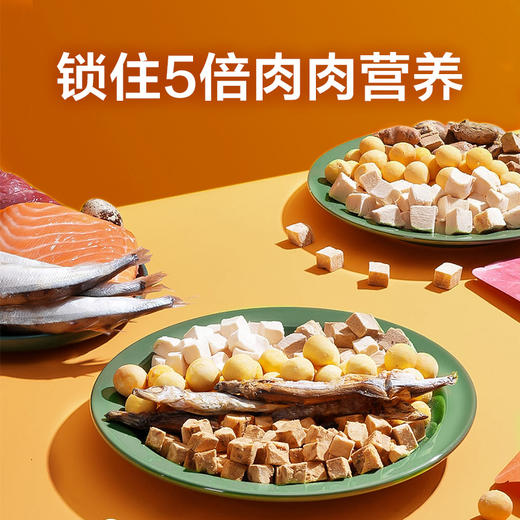 网易天成每日冻干礼盒 商品图3