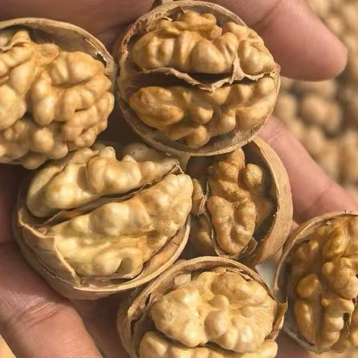 【新疆发货】新疆185纸皮核桃 4斤礼盒装 商品图1