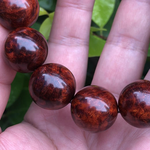 【青山特惠】特价1.8*13颗 5星 多瘤疤 小叶紫檀手串（无胶嫩瘤）t18 商品图4
