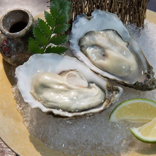 【顺丰快递】正宗乳山生蚝产地直发 味鲜肥美 重水池净化 刺身级生蚝 带产地溯源防伪标 - BQM 商品图3