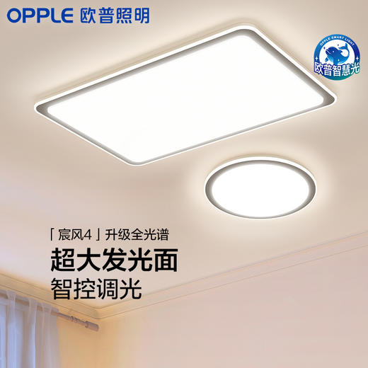 性价比爆款🔥OPPLE欧普照明宸风客厅简约现代吸顶灯套餐 商品图0
