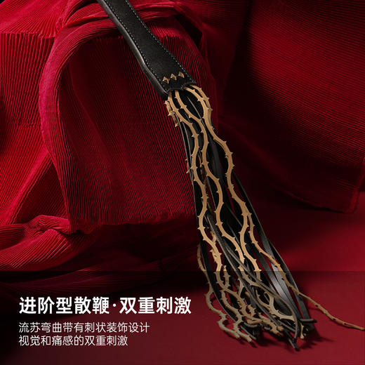 纵锦浪里荆棘散鞭sp道具马鞭情侣玩具成人情趣用品鞭子 商品图1