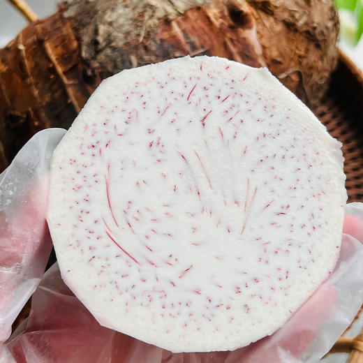 【绵密香甜】韶关乐昌炮弹芋头 彩箱/礼盒装 商品图1