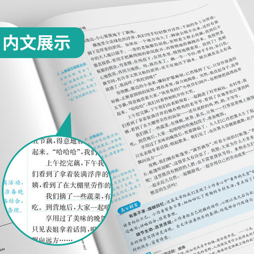 【2026小升初】小升初满分作文技法800例 商品图2