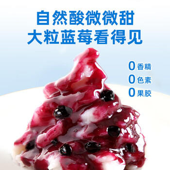仲景 纯熬蓝莓果酱190g 0添加果胶 早餐吐司面包酸奶轻食烘焙健身果酱 /粮油调味 /调味品 /西式酱料 商品图3