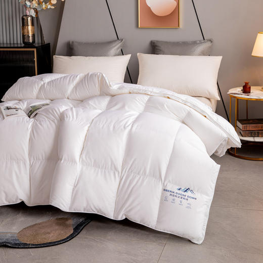 绝了！太暖和，轻如云朵！【西伯利亚进口白鹅绒】恒源祥 高端静音鹅绒被 精选腹部大朵绒 立体填充 被面静音 1件充绒量相当于8件羽绒服 抵御西伯利亚的严寒（单被子，送礼袋） 商品图2