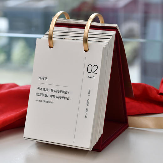 南风窗原创·2026年「迎」日历（超治愈读书台历 文艺风格创意趣味日历 桌面日历小摆件 创意礼品） 商品图1