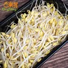 东升农场 有机黄豆芽 250g 商品缩略图4