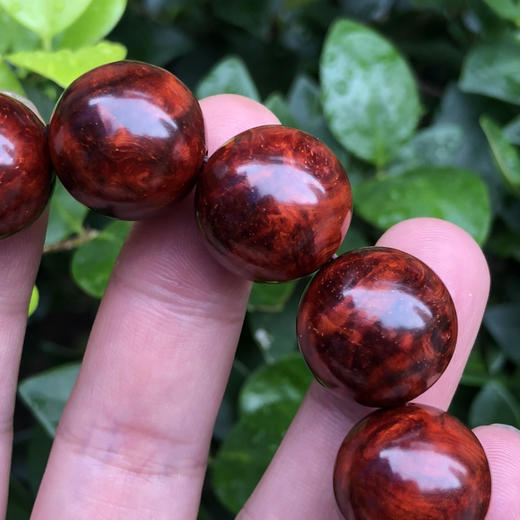 【青山特惠】特价1.8*13颗 5星 多瘤疤 小叶紫檀手串（无胶嫩瘤）t18 商品图2