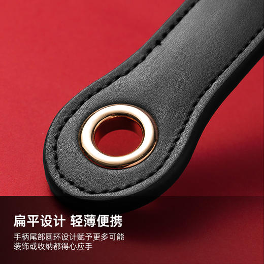 纵锦浪里荆棘散鞭sp道具马鞭情侣玩具成人情趣用品鞭子 商品图3